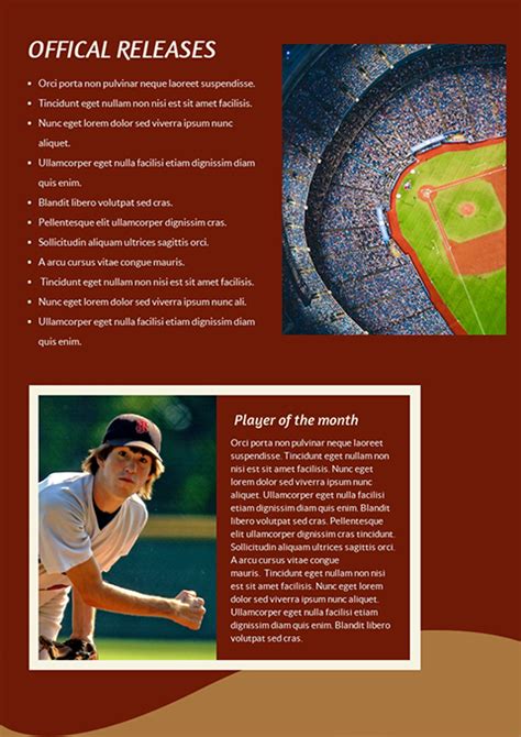 Baseball Newsletter Template
